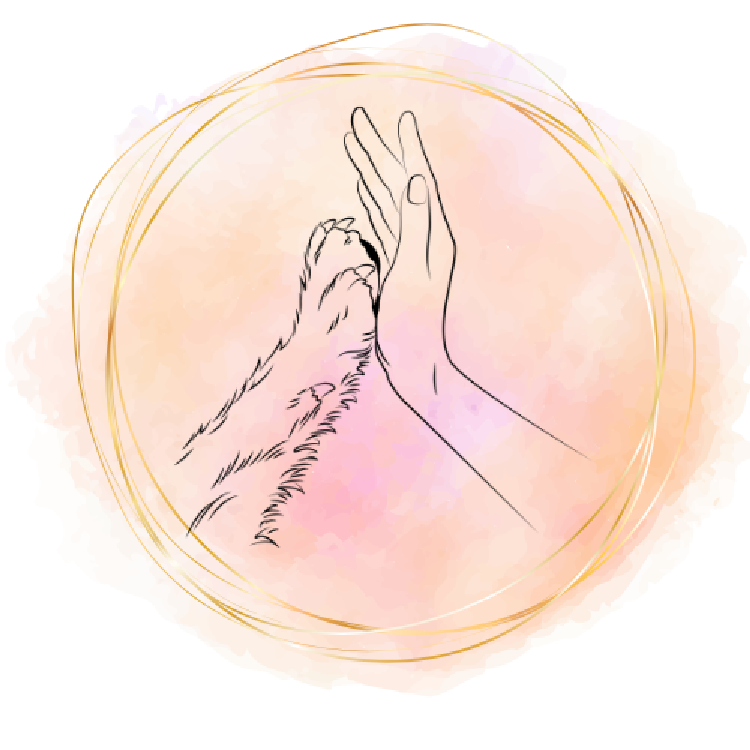 Psychotherapie Stemme